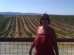 Day at the Vineyards