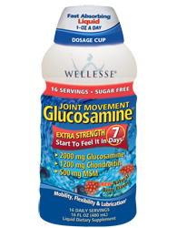 Wellesse Bariatric Liquid Solutions - Glucosamine