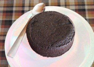 Flourless Chocolate Cake In A Mug - Really?