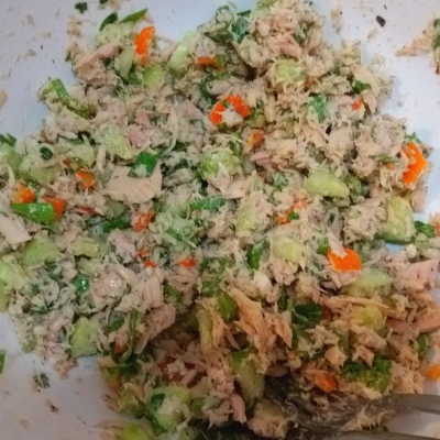 Today's Tuna Salad With a Twist